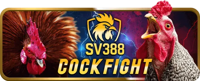 Cam kết dịch vụ khách hàng của vipsodo win